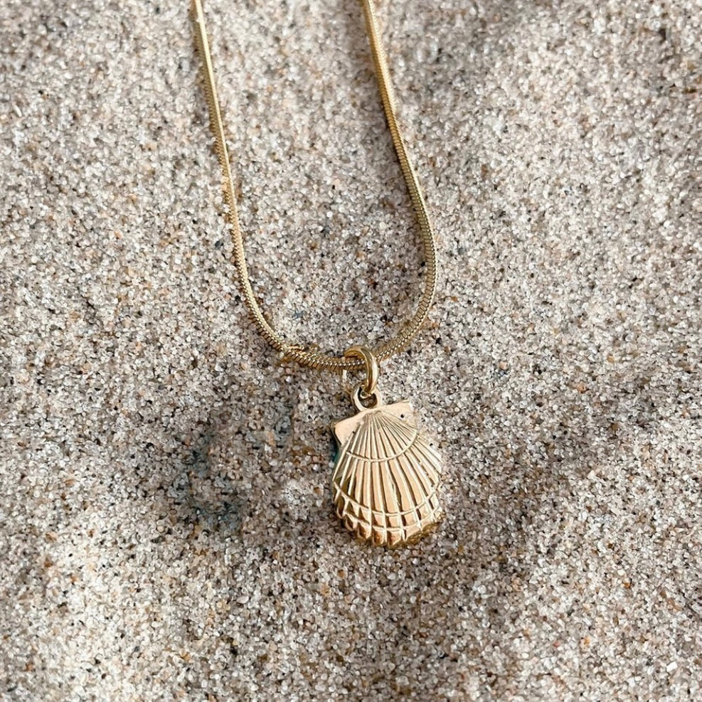 Ocean necklace shell