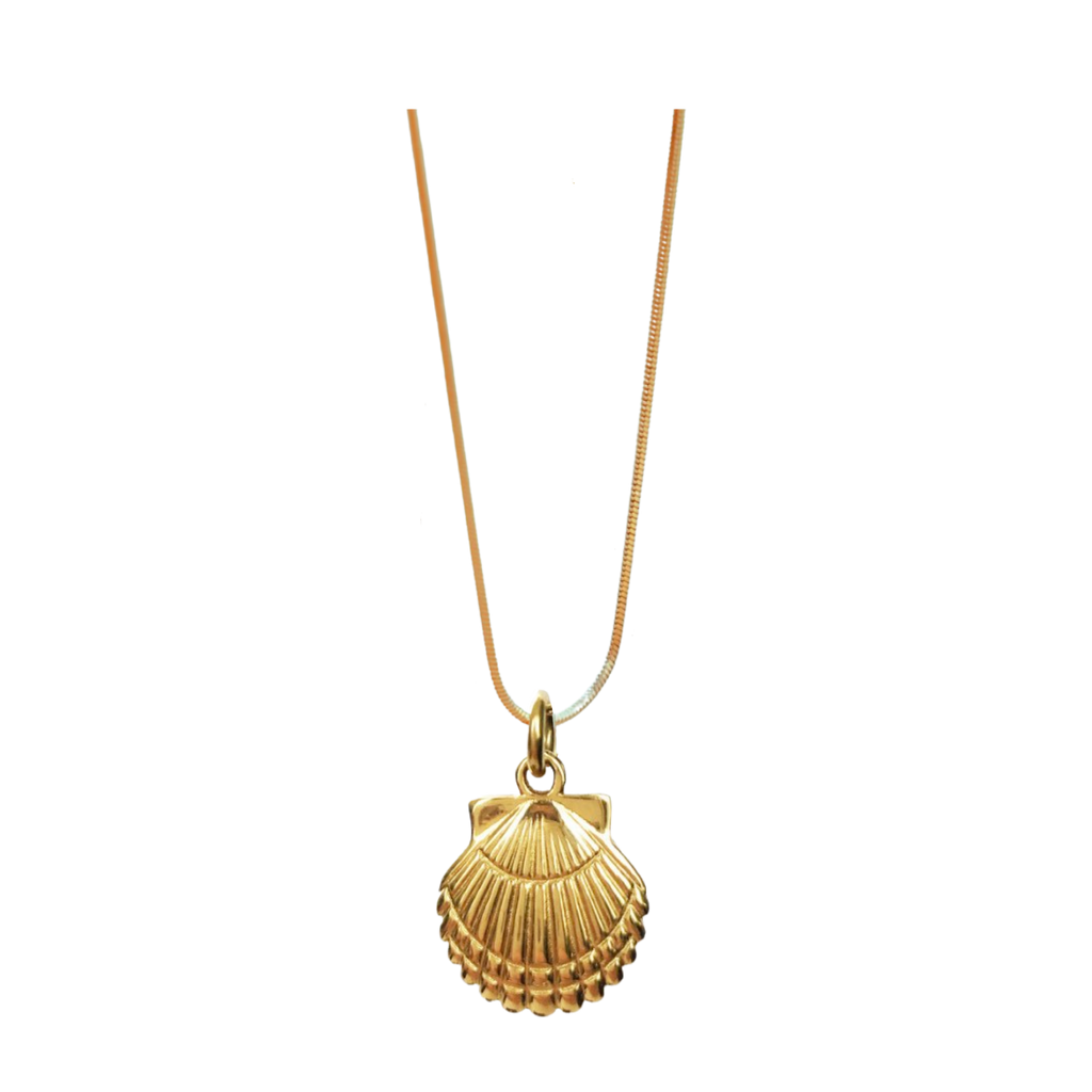 Ocean necklace shell